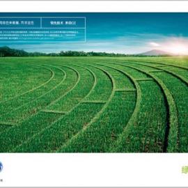 GE推出08年 Olympic Campaign平面广告