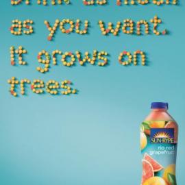 SUN-RYPE果汁饮料广告欣赏