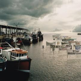 WWF：水生物大游行