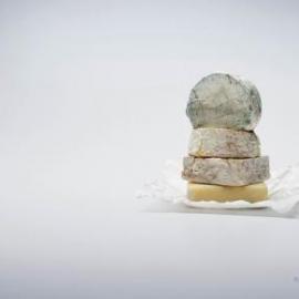 宝洁 febreze平面广告欣赏