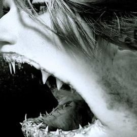 以同样的方式，你将永远都看不到鲨鱼