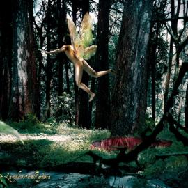 破茧成蝶－Ferrino睡袋广告欣赏