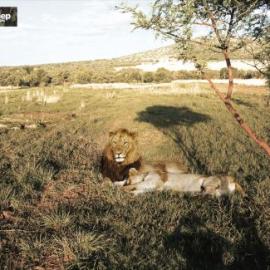 Jeep Clothing平面广告招贴