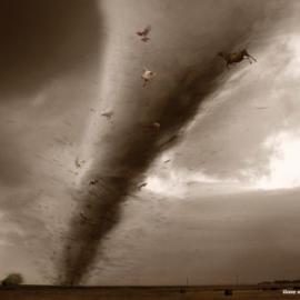 Oral-B平面广告招贴