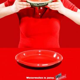 Shout wipes 平面广告招贴