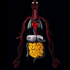 Craftsman 平面广告