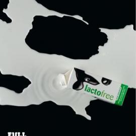 Lactofree广告招贴