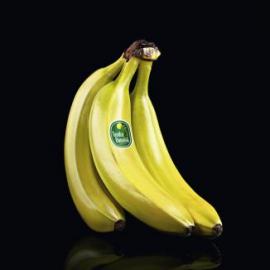 Climate Focus Polar Fruits平面广告