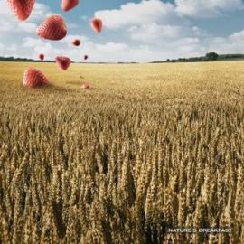 Weetabix广告招贴设计