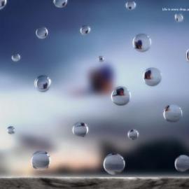 Fundación Natura平面广告