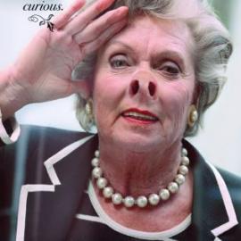 希尔特尔素食餐厅广告招贴设计