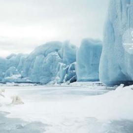 Aigle广告招贴设计