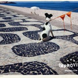 Brahma 啤酒广告欣赏