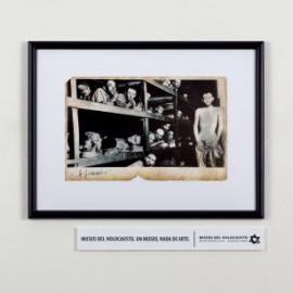 Holocaust Museum 平面广告