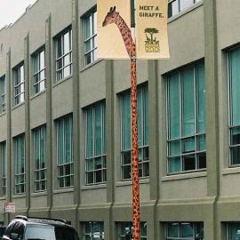 From the archive: 旧金山动物园