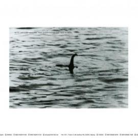 变形虫数码影像广告