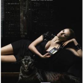 Nintendo Ds lite 平面广告