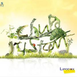 Lipodox 平面广告