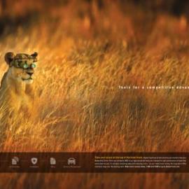 dealertrack 控股广告