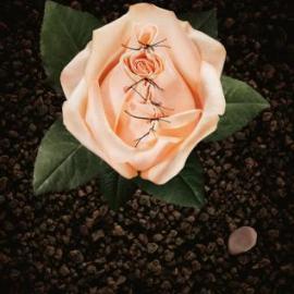 国际特赦组织招贴