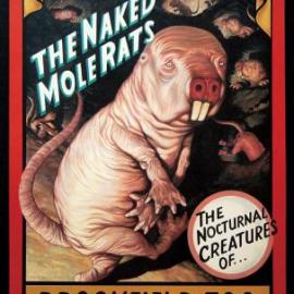 伊利诺州旅游局