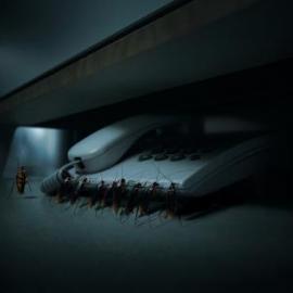 Ikari Pest Hotline 平面广告