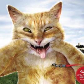 Flexi Dogleashes 平面广告