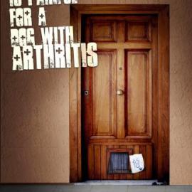 Metacam pain relief for dogs广告