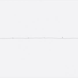 SpaceFox 汽车广告