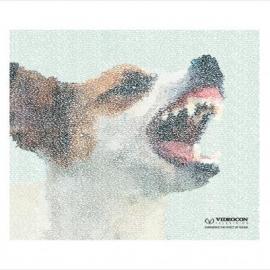 videocon公司电视机