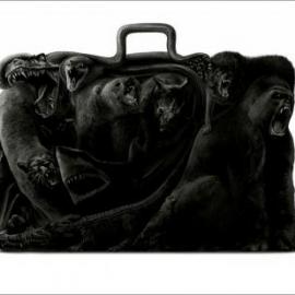 龙溪全球华人广告奖