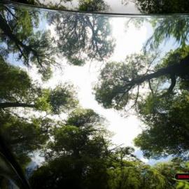 SONAX Xtreme 汽车护理用品