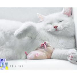 第十四届广告节平面类金奖赏析（二）