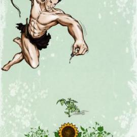 Neudorff 平面广告