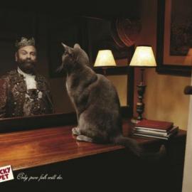 LuckyPet 平面广告