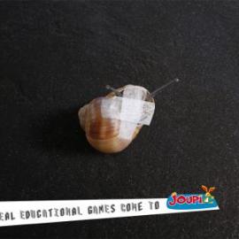 joupi玩具店广告