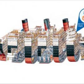 Ana Maria 平面广告