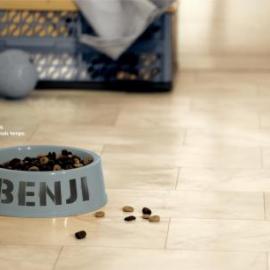 Masterfoods, Pedigree Senior 平面广告