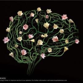 阿莱曼医院肿瘤中心开幕