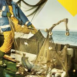 Raiffeisen Bank 平面广告