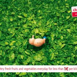 动物明星代言广告