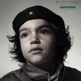 Greenpeace 平面广告