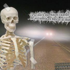 Jackass 平面广告