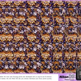 Nikon D3 平面广告