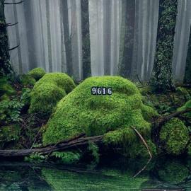 event 经典创意广告欣赏