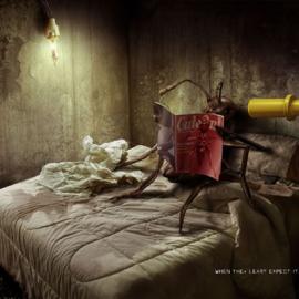 Mortein 杀虫剂广告