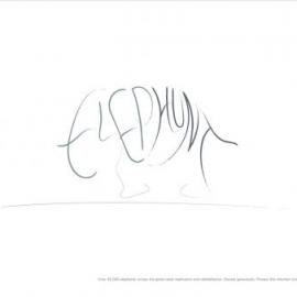 Wildlife SOS 公益广告