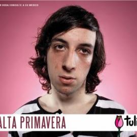 Tulipan Condoms 平面广告