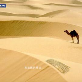 米其林“我们跑得更远”