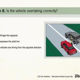 Directed Electronics 平面广告